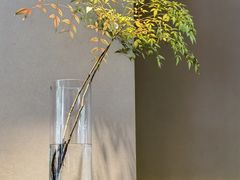 -东园小馆·早茶·淮扬小炒(印象汇店)