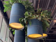 -Tanuki Raw(Orchard Central)