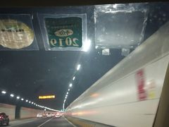 -胶州湾海底隧道