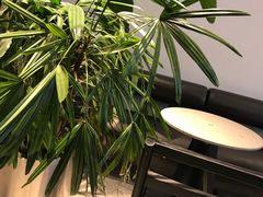 -喜茶(上海五角场万达店)