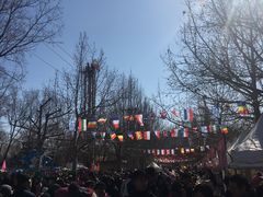 -朝阳公园游乐园