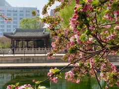 -海棠花溪(元大都城垣遗址公园)