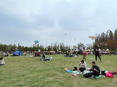 -两河城市森林公园