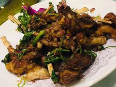 羊排-龙汇酒家(沪闵路店)