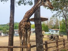 -大连森林动物园