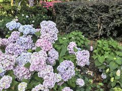 -常州古运河南大街文化旅游区-人民公园