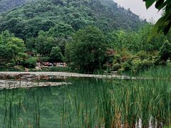 -桃花岭景区