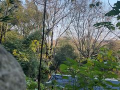 -三江森林温泉度假区