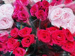 -循礼门鲜花花市(武汉循礼门店)