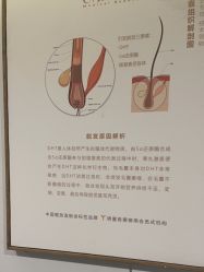 -熙朵美学植发连锁
