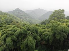 -莫干山风景区