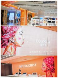 -THE COLORIST调色师