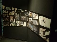 -东京塔海贼王主题公园