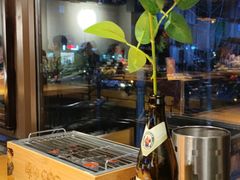 -腰子哥烤串(石佛营炫特店)