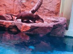 -正佳极地海洋世界