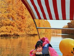 -上海海湾国家森林公园