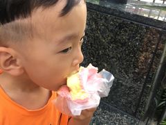 -詹爷爷乌节路街头冰淇淋