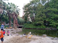 -苏州河梦清园环保主题公园