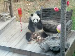 -大连森林动物园