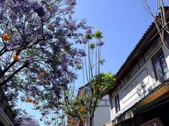 -南诏风情岛