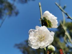 -桃花涧