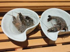 -海玥荟海鲜姿造自助餐厅(欧罗巴广场店)