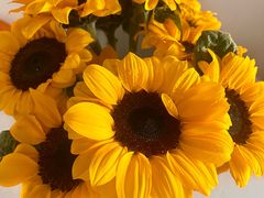 -三品王(万象城店)