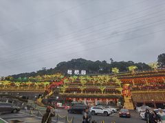 -枇杷园食为鲜火锅(南山店)