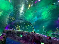 -沈阳海洋探索中心