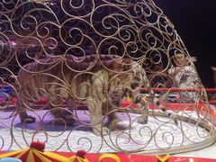 -广州长隆国际大马戏