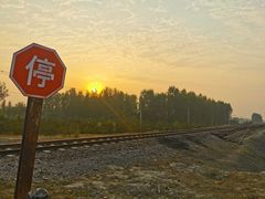-东郊湿地公园