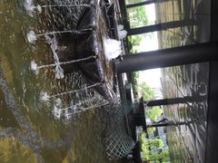 滴水湖皇冠假日酒店-上海滴水湖皇冠假日酒店