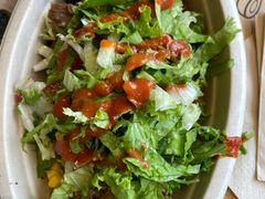 -油梨树AVOCADO TREE(望京店)