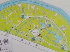 -望江楼公园