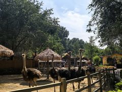 -北京野生动物园