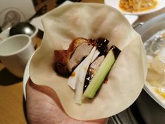 -守柴炉烤鸭(科华中路王府井店)