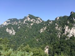 -王顺山国家森林公园