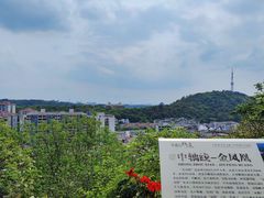-佛山华盖山公园