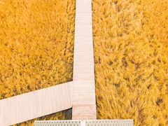 -塞罕坝国家级自然保护区