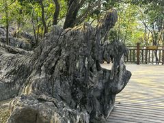 -千岛湖东南湖区