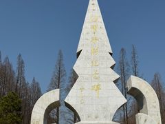 -水杉园