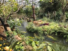 -南通洲际绿博园