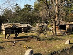 -上海野生动物园