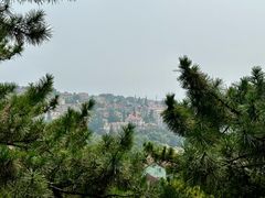 -信号山公园