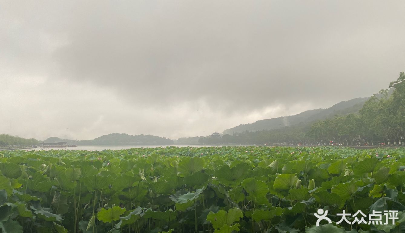 《上海-乌镇-杭州》