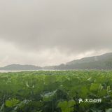 《上海-乌镇-杭州》