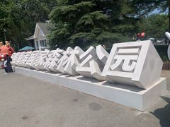 -日照海滨国家森林公园