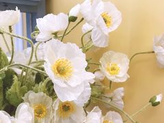 -莫奈花园法式蛋糕