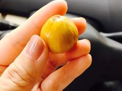 -阿男野栗王(金门路店)