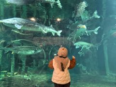 -华夏文旅海洋公园